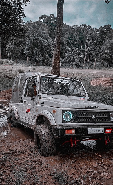 坚持不懈加 坚持不懈加