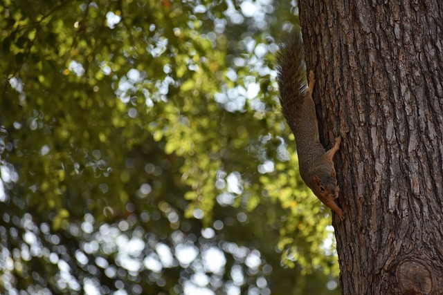 无论是掘金 无论是掘金