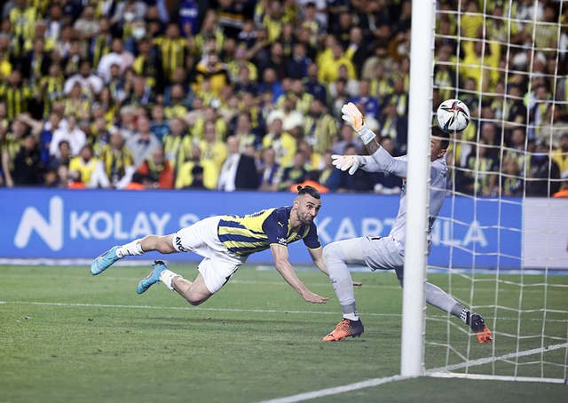 挥成为历史 挥成为历史