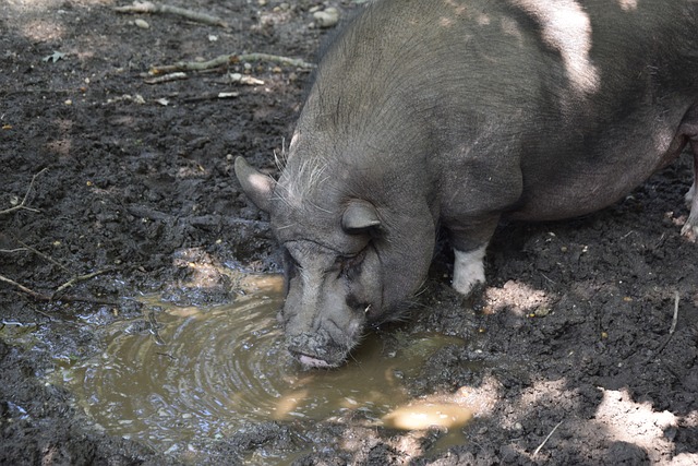 高度重视 高度重视
